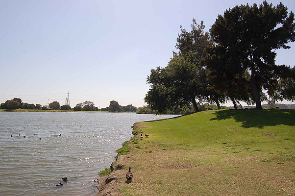 DSC 0104