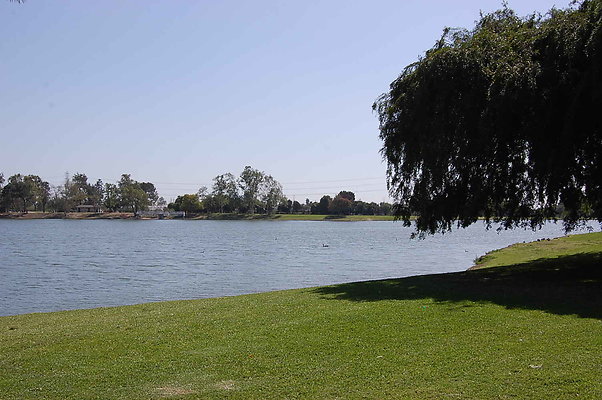 DSC 0097