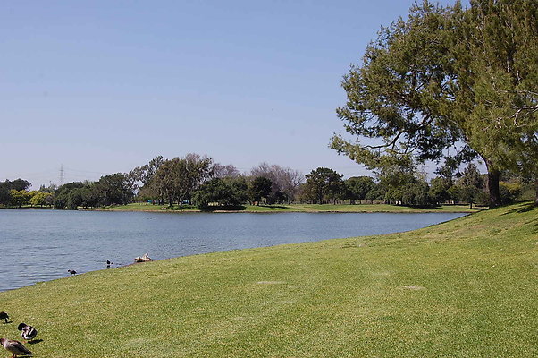 DSC 0070