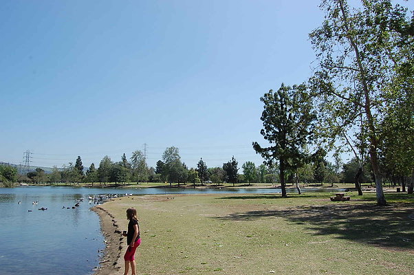 DSC 0028