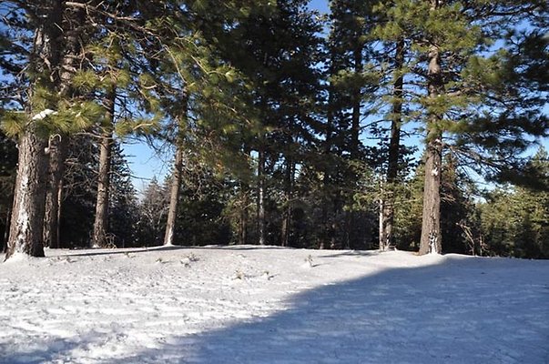 Ski.Snow