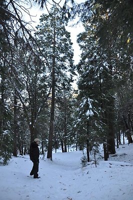 1k.Pines.Watertower.Rd.42