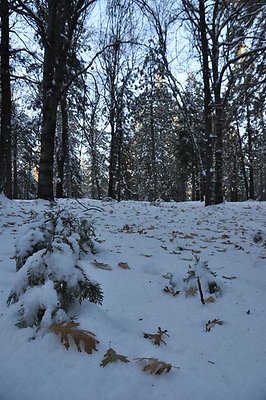 1k.Pines.Watertower.Rd.40