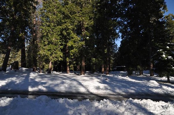1k.Pines.Rd.To.P-Lot.11