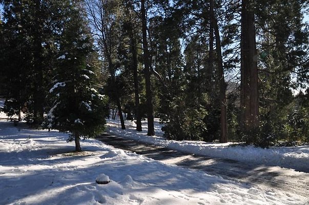 1k.Pines.Rd.To.P-Lot.07