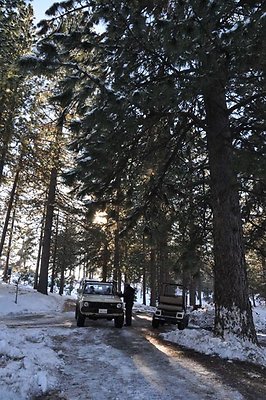1k.Pines.Ponderosa.Rd.05