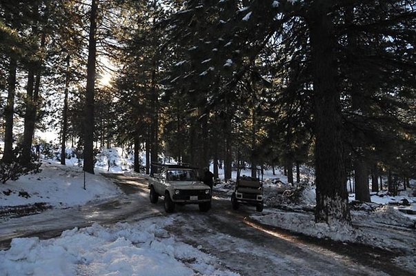 1k.Pines.Ponderosa.Rd.06