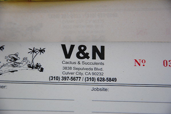 V And N Nursery.Cactus.Culver City