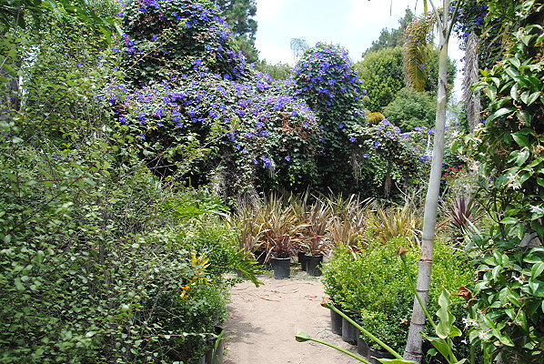 DSC 0046