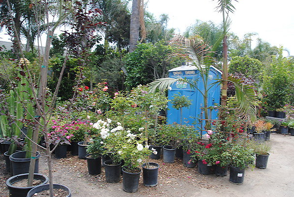 DSC 0039