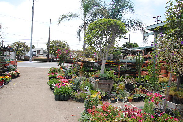 DSC 0055