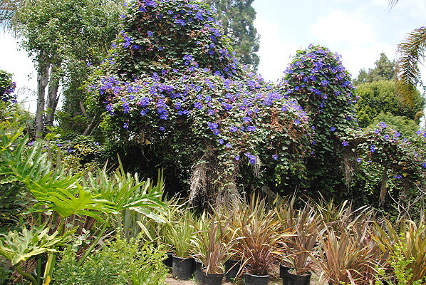 DSC 0047