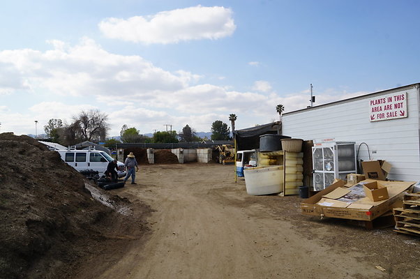 Green.Thumb.Growing.Canoga.P.31