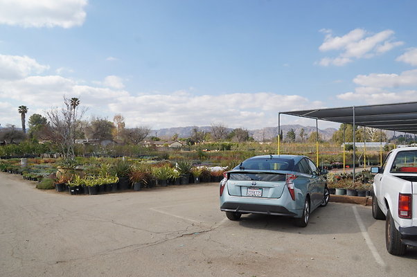 Green.Thumb.Growing.Canoga.P.21