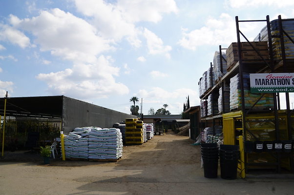 Green.Thumb.Growing.Canoga.P.17