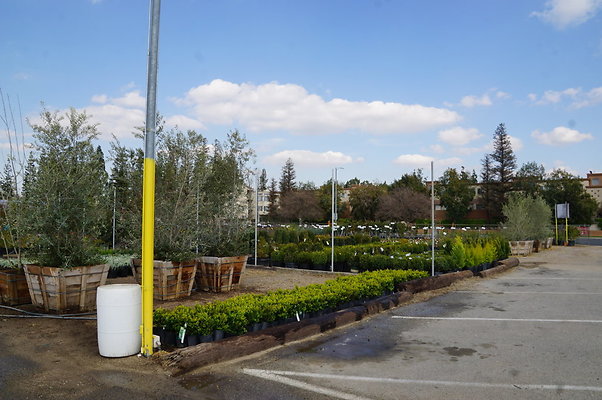Green.Thumb.Growing.Canoga.P.42