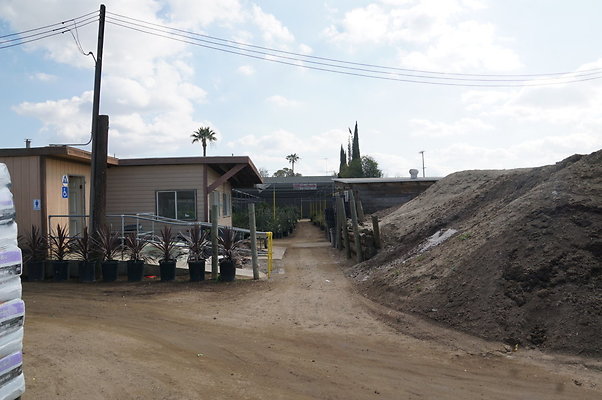 Green.Thumb.Growing.Canoga.P.25