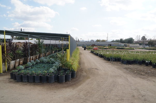 Green.Thumb.Growing.Canoga.P.46