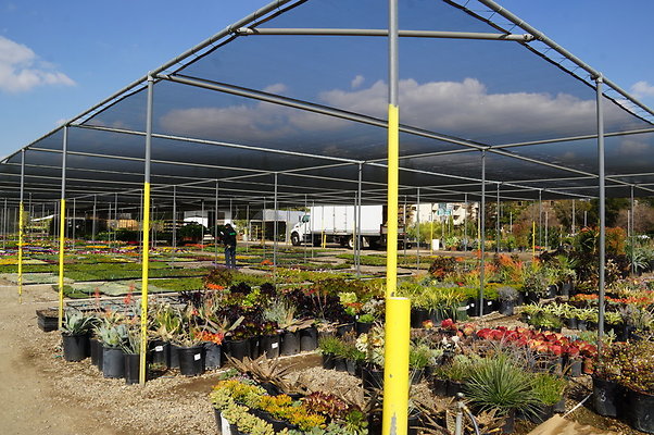 Green.Thumb.Growing.Canoga.P.15