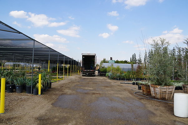 Green.Thumb.Growing.Canoga.P.41