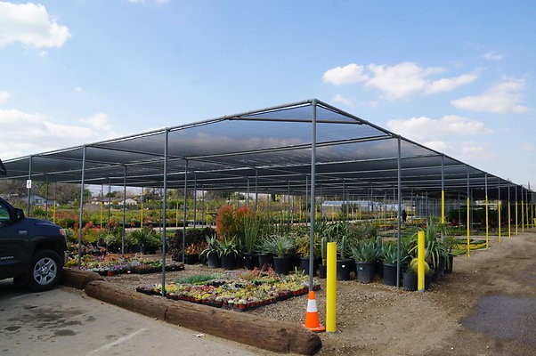 Green.Thumb.Growing.Canoga.P.40