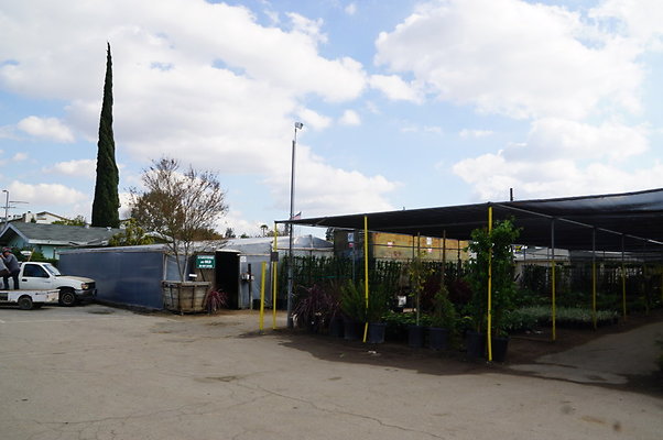 Green.Thumb.Growing.Canoga.P.39