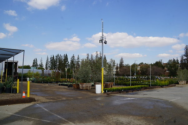Green.Thumb.Growing.Canoga.P.37