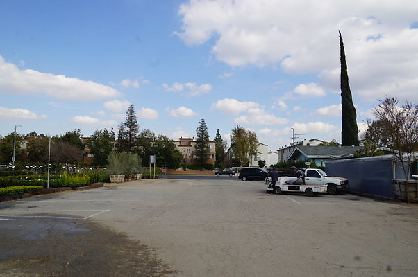 Green.Thumb.Growing.Canoga.P.38