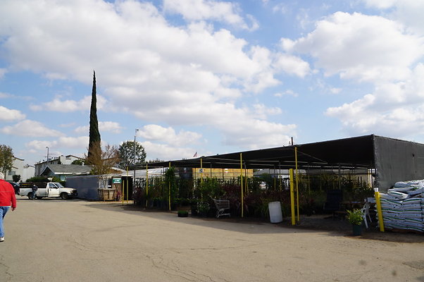 Green.Thumb.Growing.Canoga.P.16