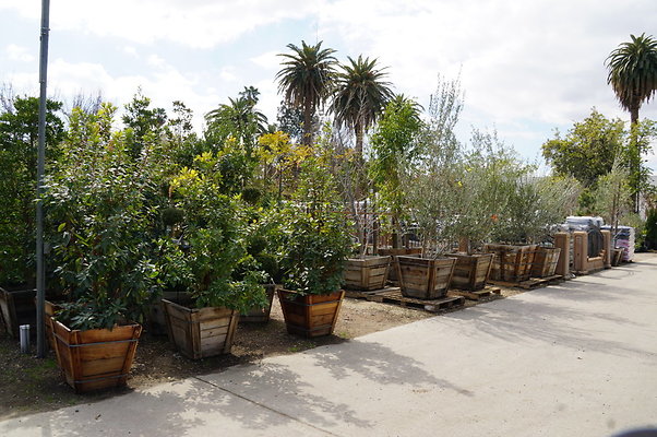 Green.Thumb.Super.Garden.22