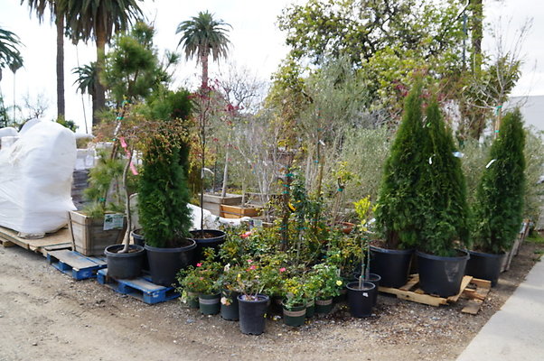 Green.Thumb.Super.Garden.37