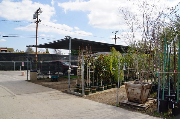 Green.Thumb.Super.Garden.20