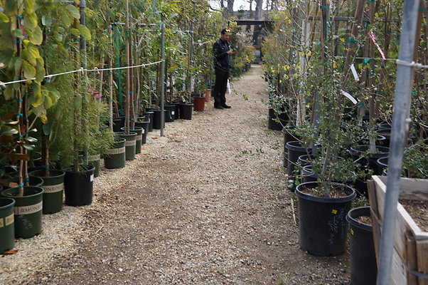 Green.Thumb.Super.Garden.48