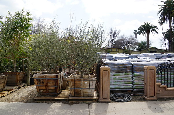 Green.Thumb.Super.Garden.27