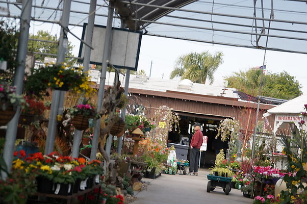 Green.Thumb.Super.Garden.68