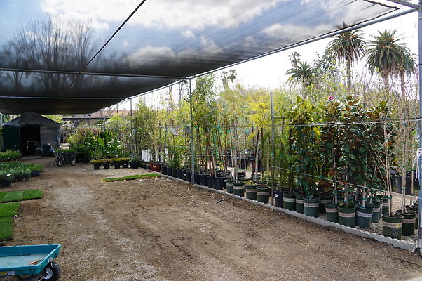 Green.Thumb.Super.Garden.14
