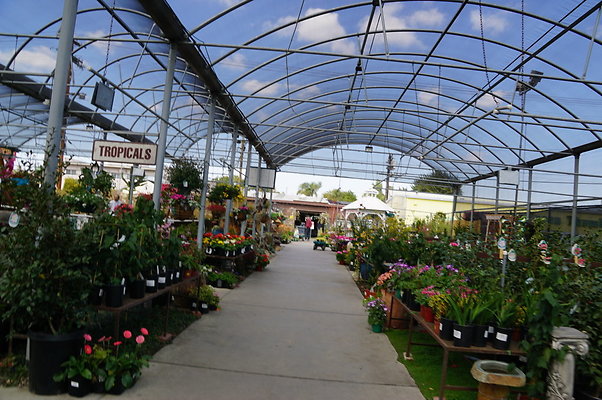 Green.Thumb.Super.Garden.69