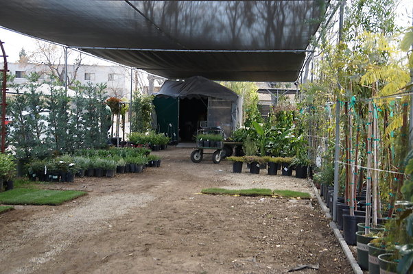 Green.Thumb.Super.Garden.49