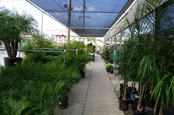 Green.Thumb.Super.Garden.60