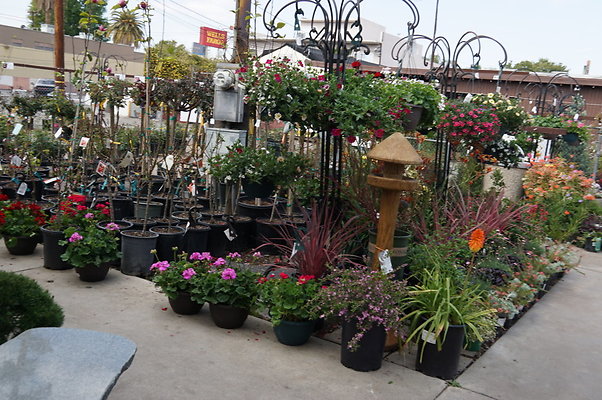 Green.Thumb.Super.Garden.75