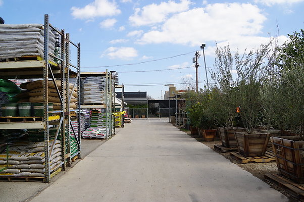 Green.Thumb.Super.Garden.39