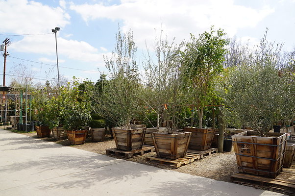 Green.Thumb.Super.Garden.26