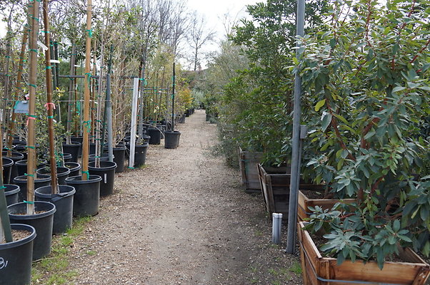 Green.Thumb.Super.Garden.47