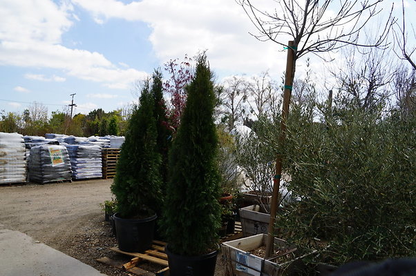 Green.Thumb.Super.Garden.31