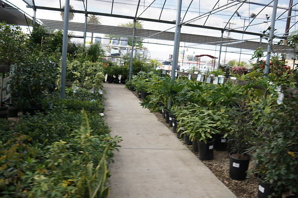 Green.Thumb.Super.Garden.70