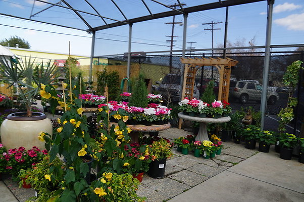 Green.Thumb.Super.Garden.73