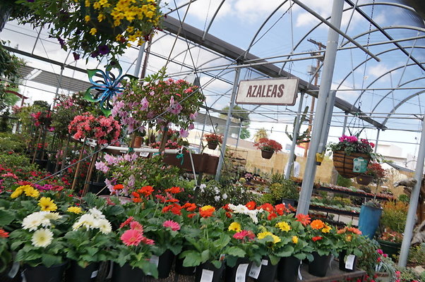 Green.Thumb.Super.Garden.72