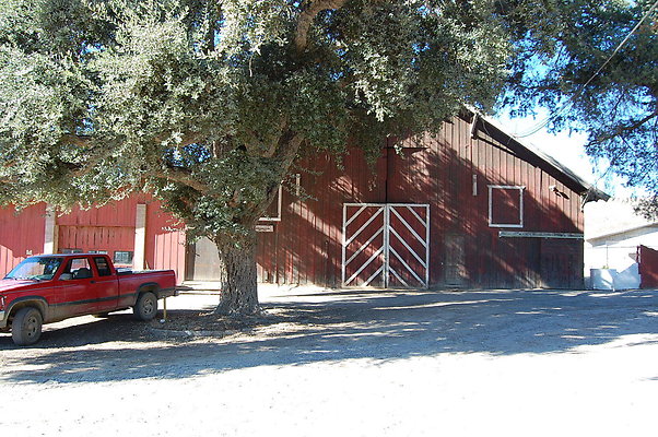 DSC 0002