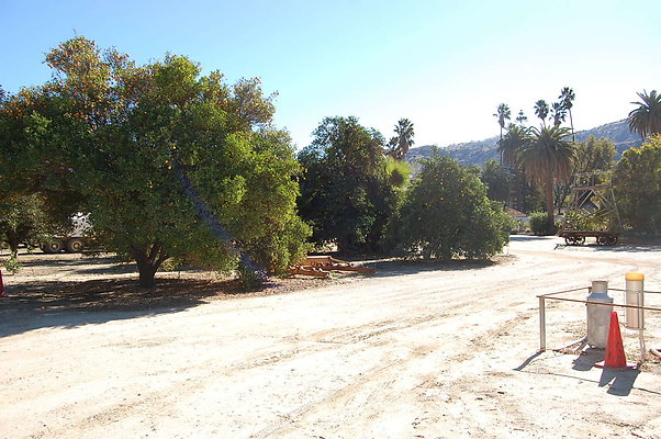DSC 0013