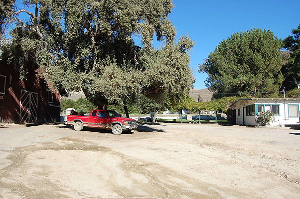 DSC 0018